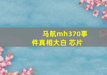 马航mh370事件真相大白 芯片